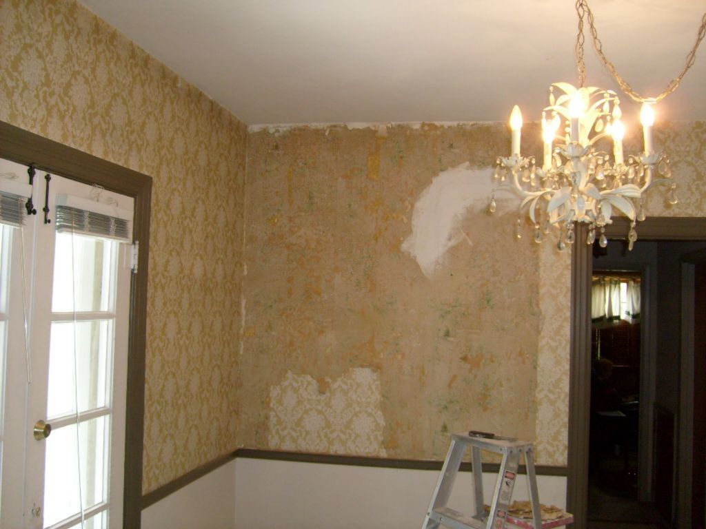 Plaster wall under wall paper